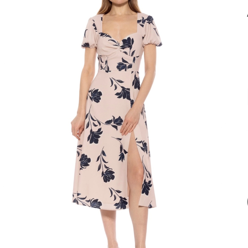 Alexia Admor Gracie Sweetheart Dress Size 10
